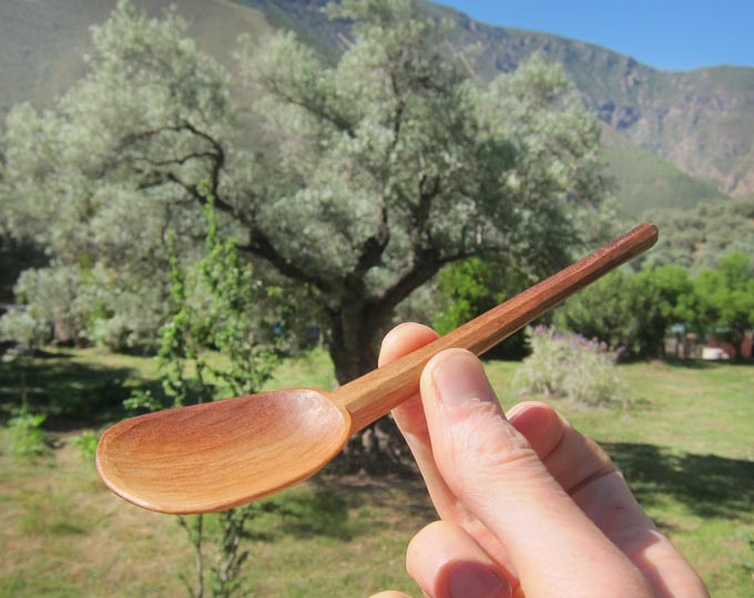 roasted-olive-5-wooden-spoon