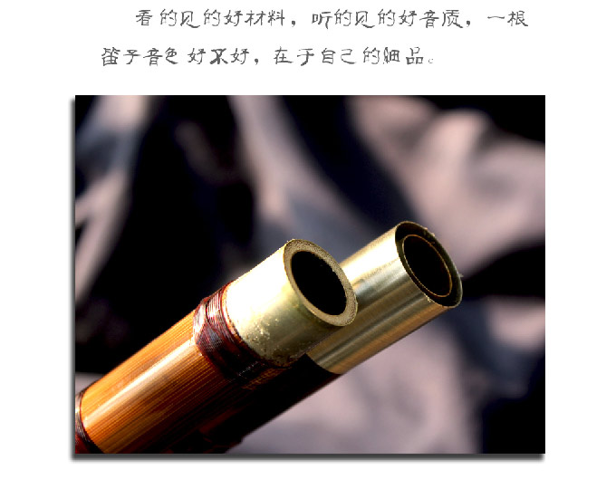 中国竹笛 D