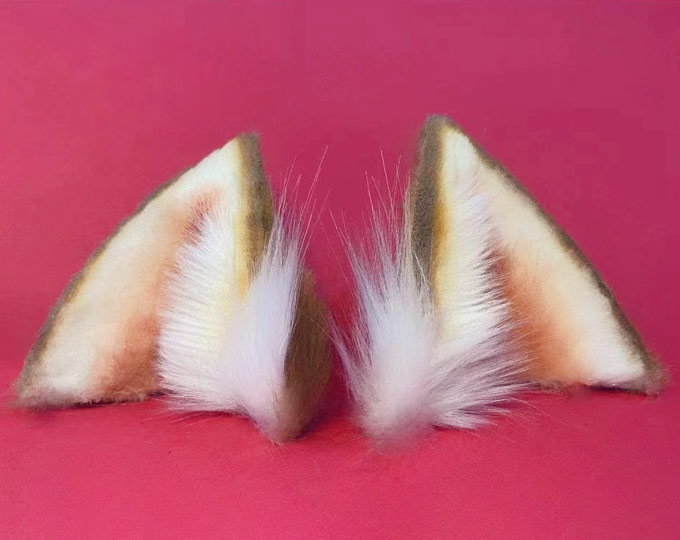 reger-emulational-animal-ear-fox