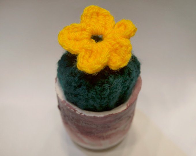 ceramic-pot-with-crochet-cactus A