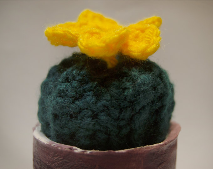 ceramic-pot-with-crochet-cactus C