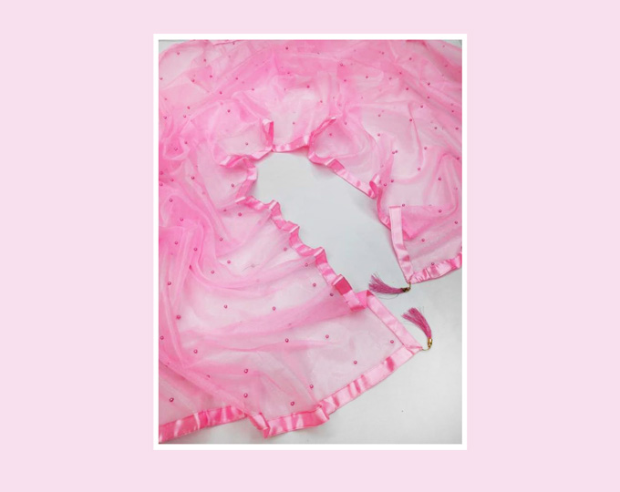 Net-Embellished-Pink-Women-Dupa B